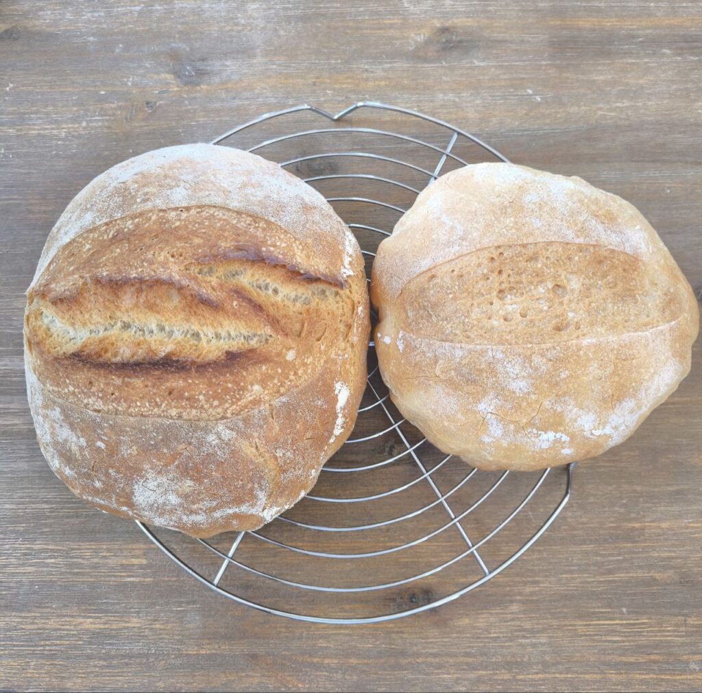 Vergleich: Dinkelbrot im Backofen (links) und im Airfryer (rechts)